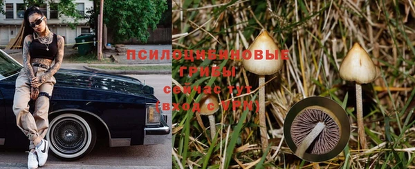 Альфа ПВП Алексин